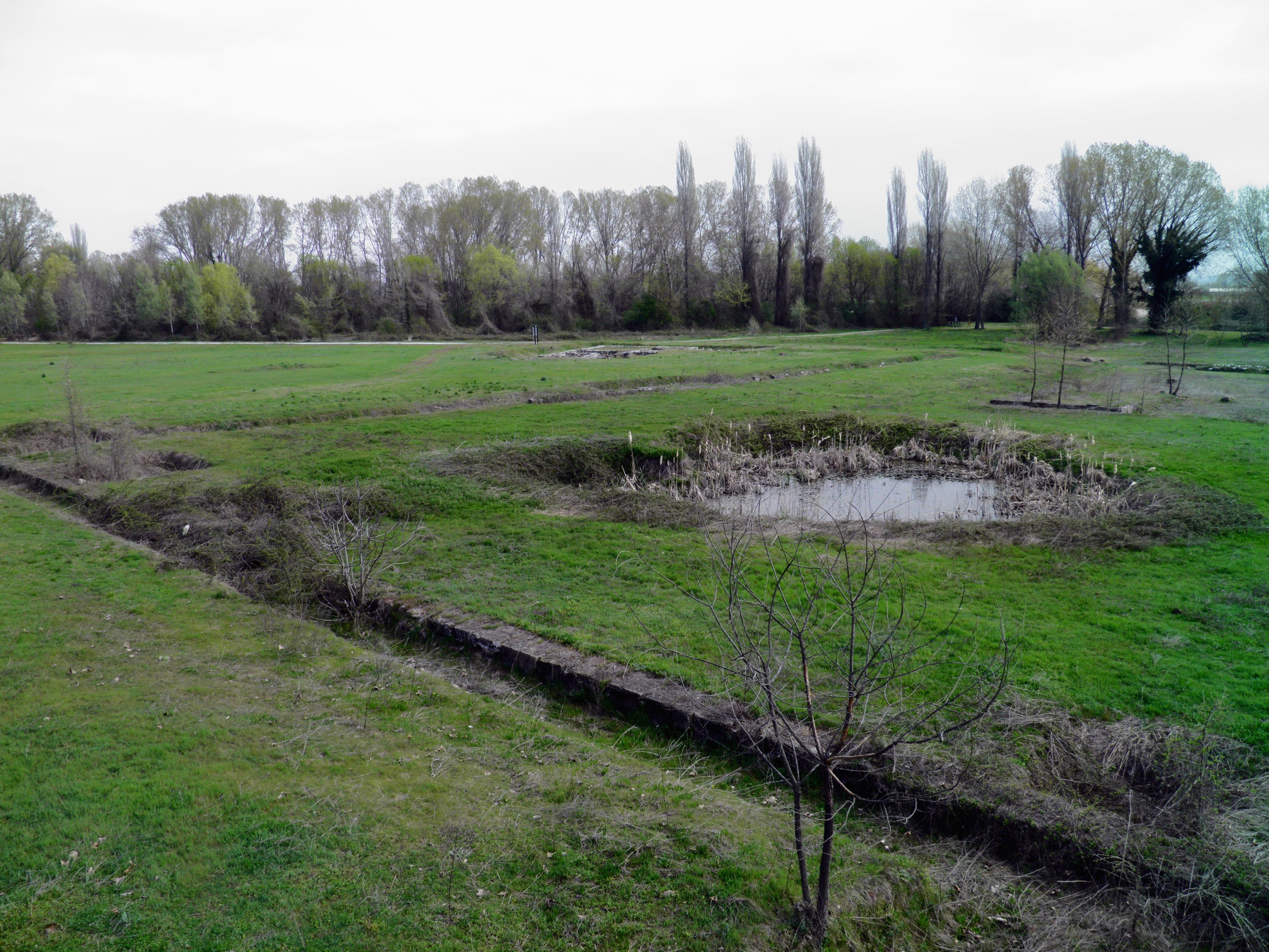Sanctuary of Zeus Olympios